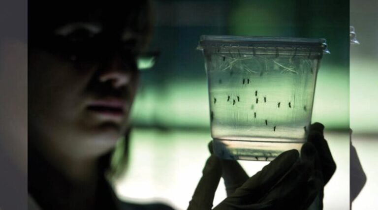 Cómo está el riotercerense que contrajo dengue